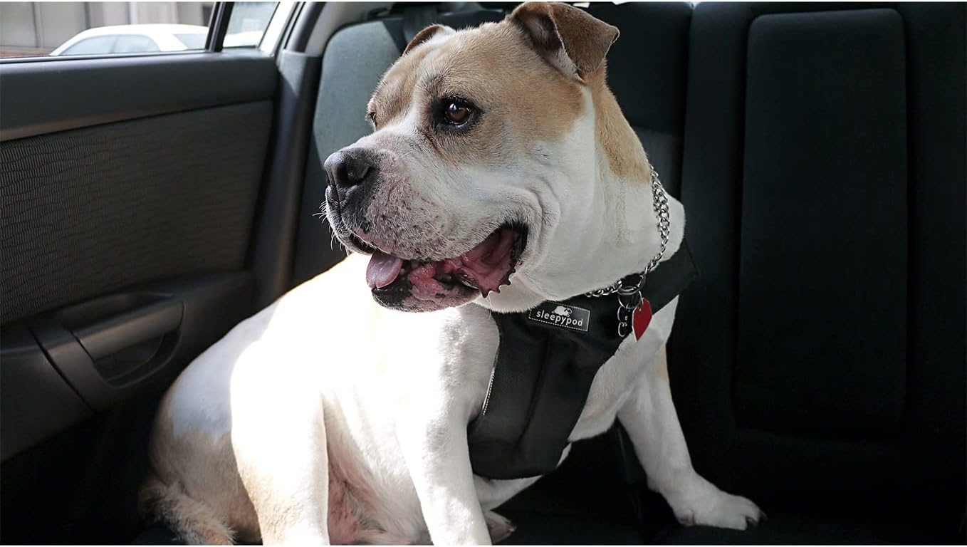 Clickit Sport Plus - Crash-Tested and Safety Certified Car Seat Belt Harness for Dogs (Large, Charcoal Grey)