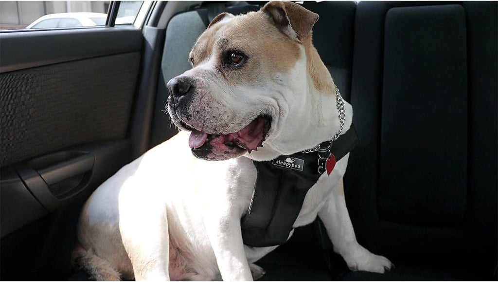 Clickit Sport Plus - Crash-Tested and Safety Certified Car Seat Belt Harness for Dogs (Extra Large, Strawberry Red)