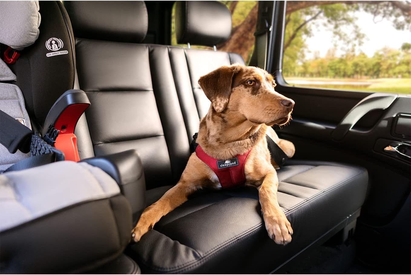 Clickit Sport Plus - Crash-Tested and Safety Certified Car Seat Belt Harness for Dogs (Large, Jet Black)