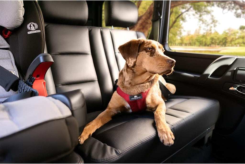 Clickit Sport Plus - Crash-Tested and Safety Certified Car Seat Belt Harness for Dogs (Extra Large, First Blush)