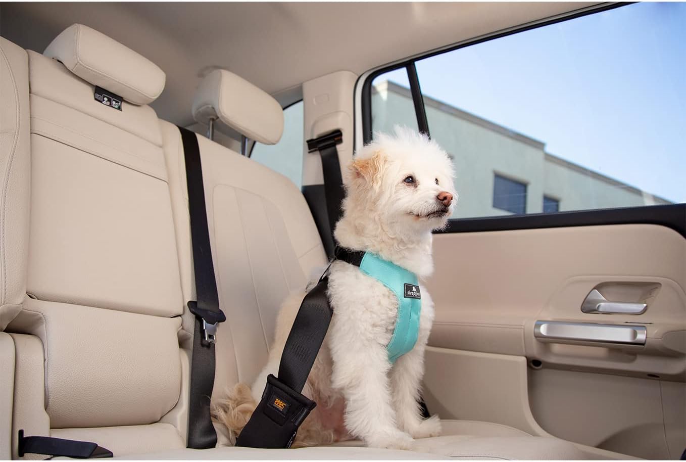 Clickit Sport Plus - Crash-Tested and Safety Certified Car Seat Belt Harness for Dogs (Large, Olive Green)