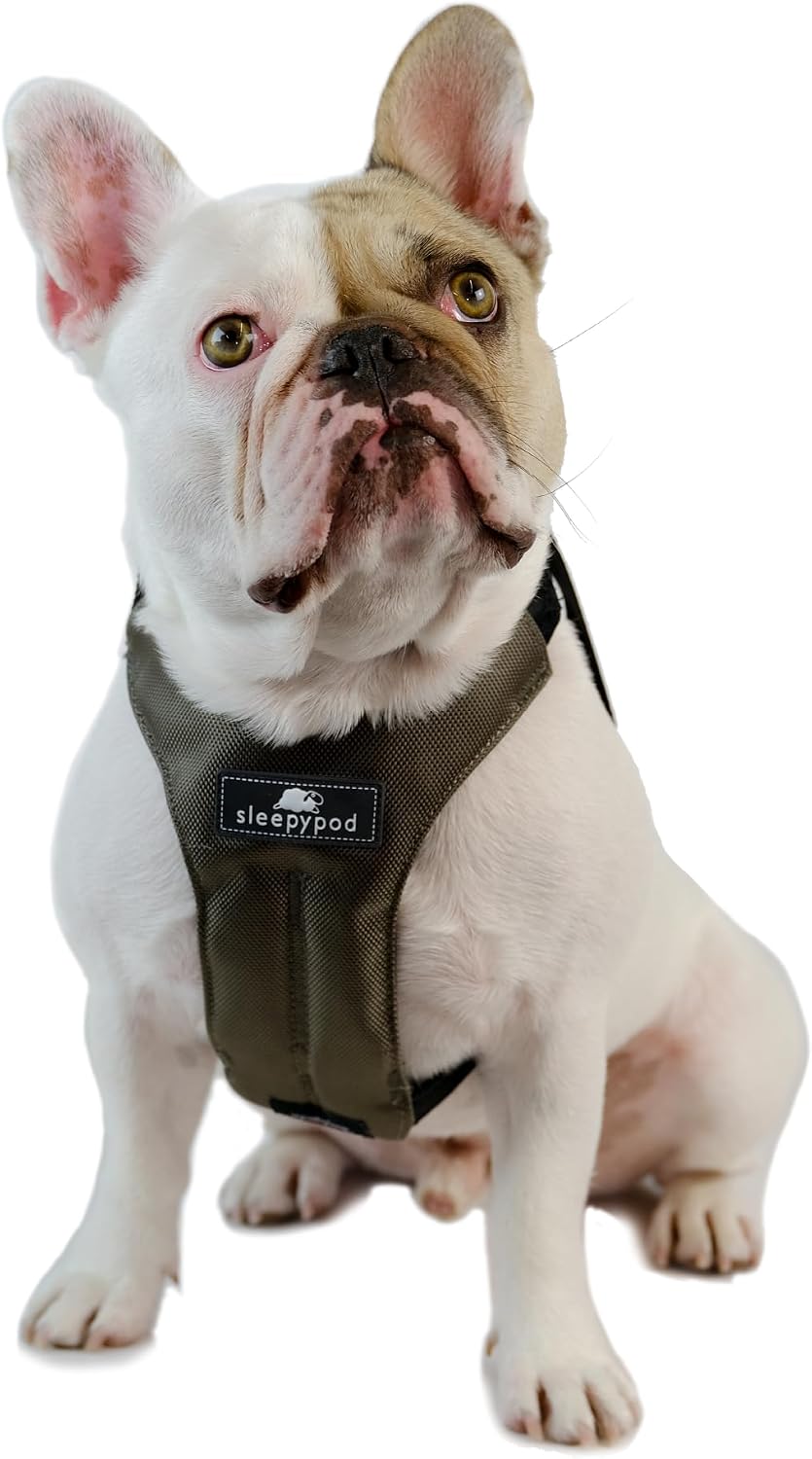 Clickit Sport Plus - Crash-Tested and Safety Certified Car Seat Belt Harness for Dogs (Large, Olive Green)