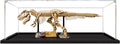 Acrylic Display Case for Lego 76968 Dinosaur Fossil Tyrannosaurus Rex, Dustproof Box, Storage Box, Transparent Box, Display Box Compatible with 76968 (Box Only) (3mm Transparent)