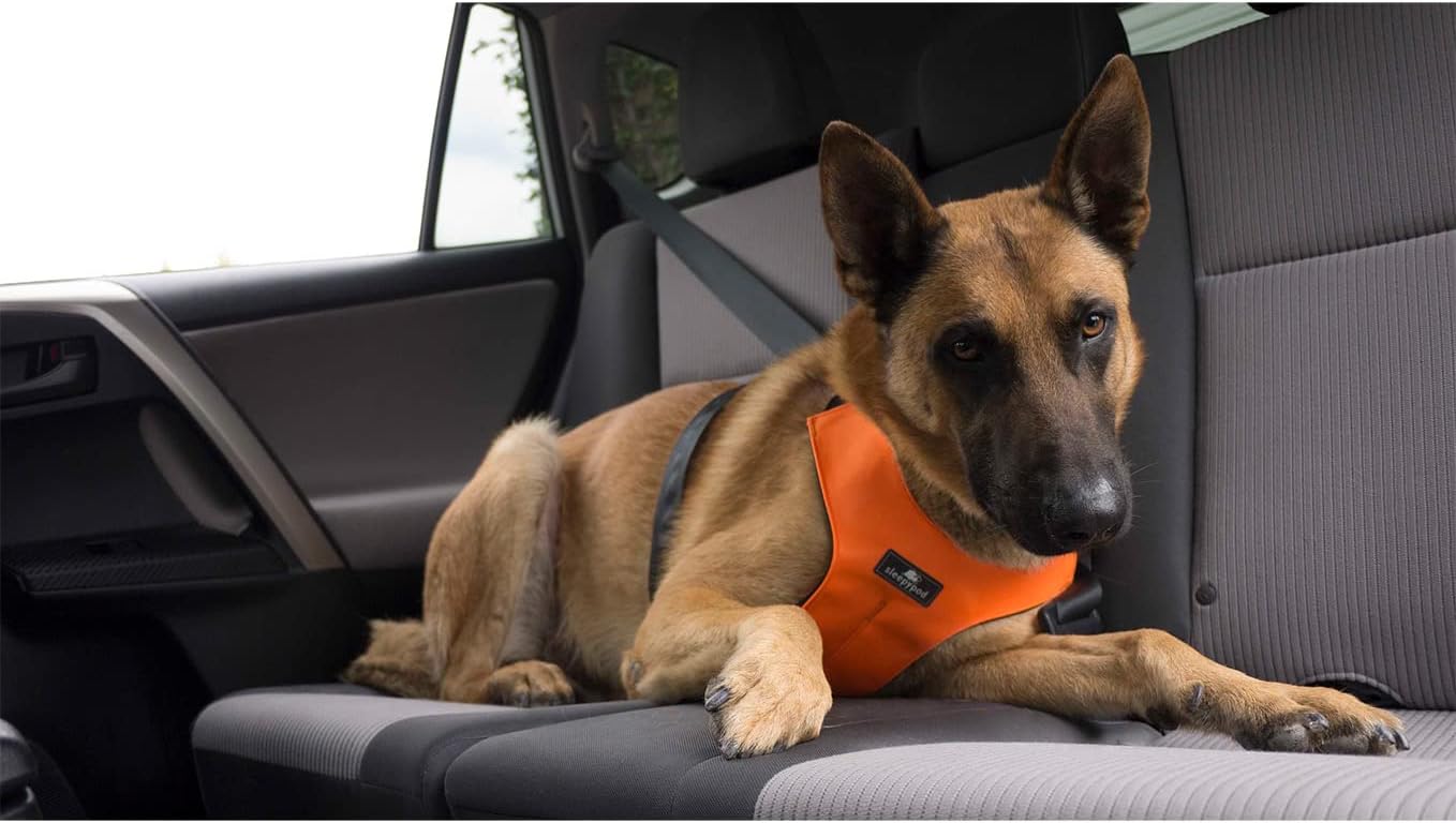 Clickit Sport Plus - Crash-Tested and Safety Certified Car Seat Belt Harness for Dogs (Extra Large, Strawberry Red)