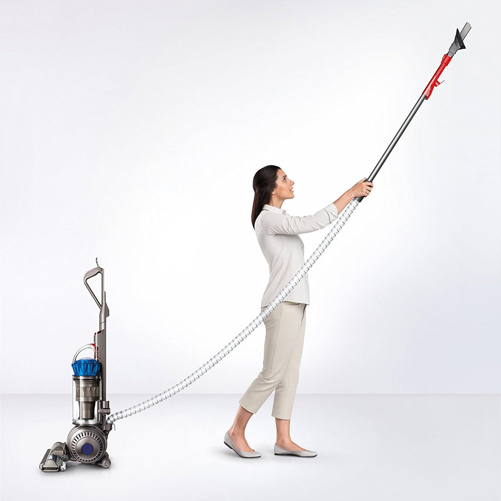 Dyson Ball Allergy Upright, Blue/Iron (Certified Refurbished)