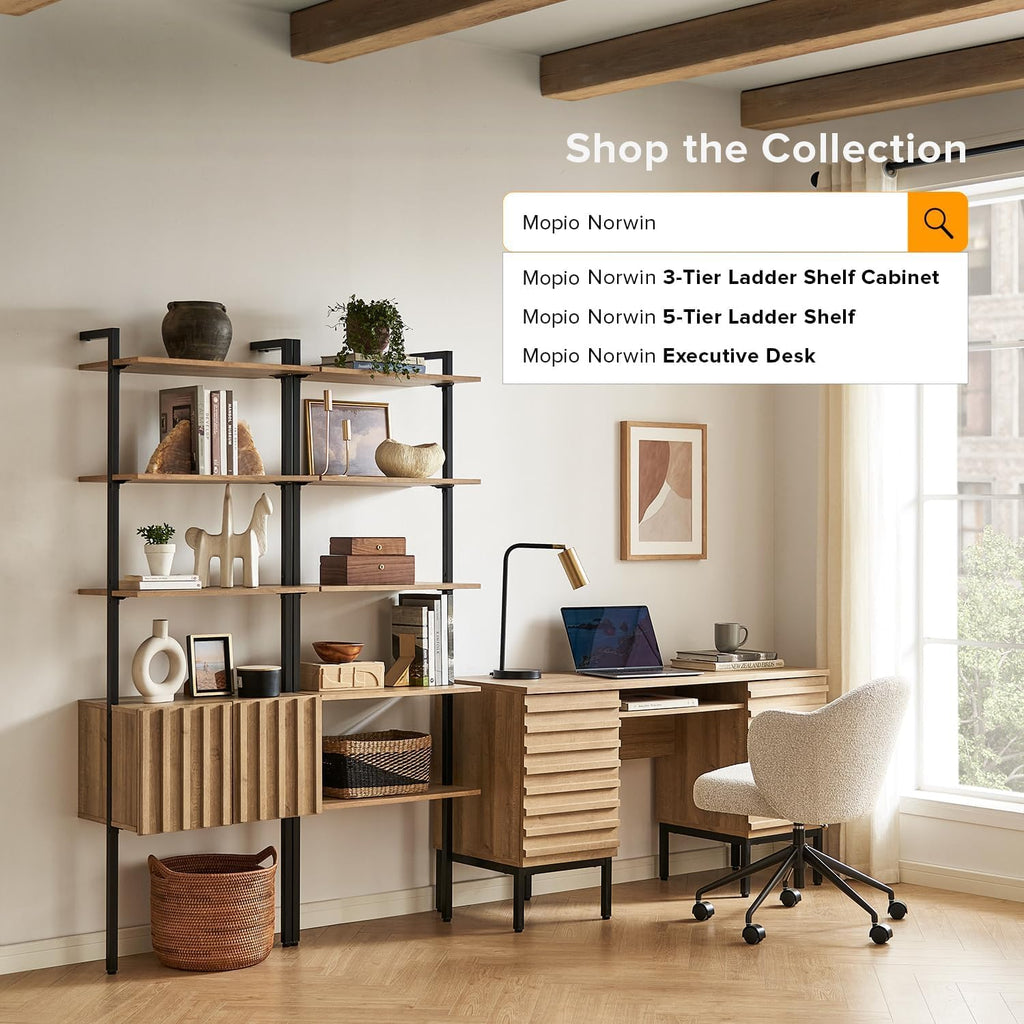 mopio Norwin Ladder Book Shelf, Wall-Mount Storage Rack, Wall Bookshelf, Farmhouse Industrial Bookcase, Narrow Slim Organizer, Steel Frame Display Shelves, Living Room, Bedroom (3-Tier Cabinet Double)