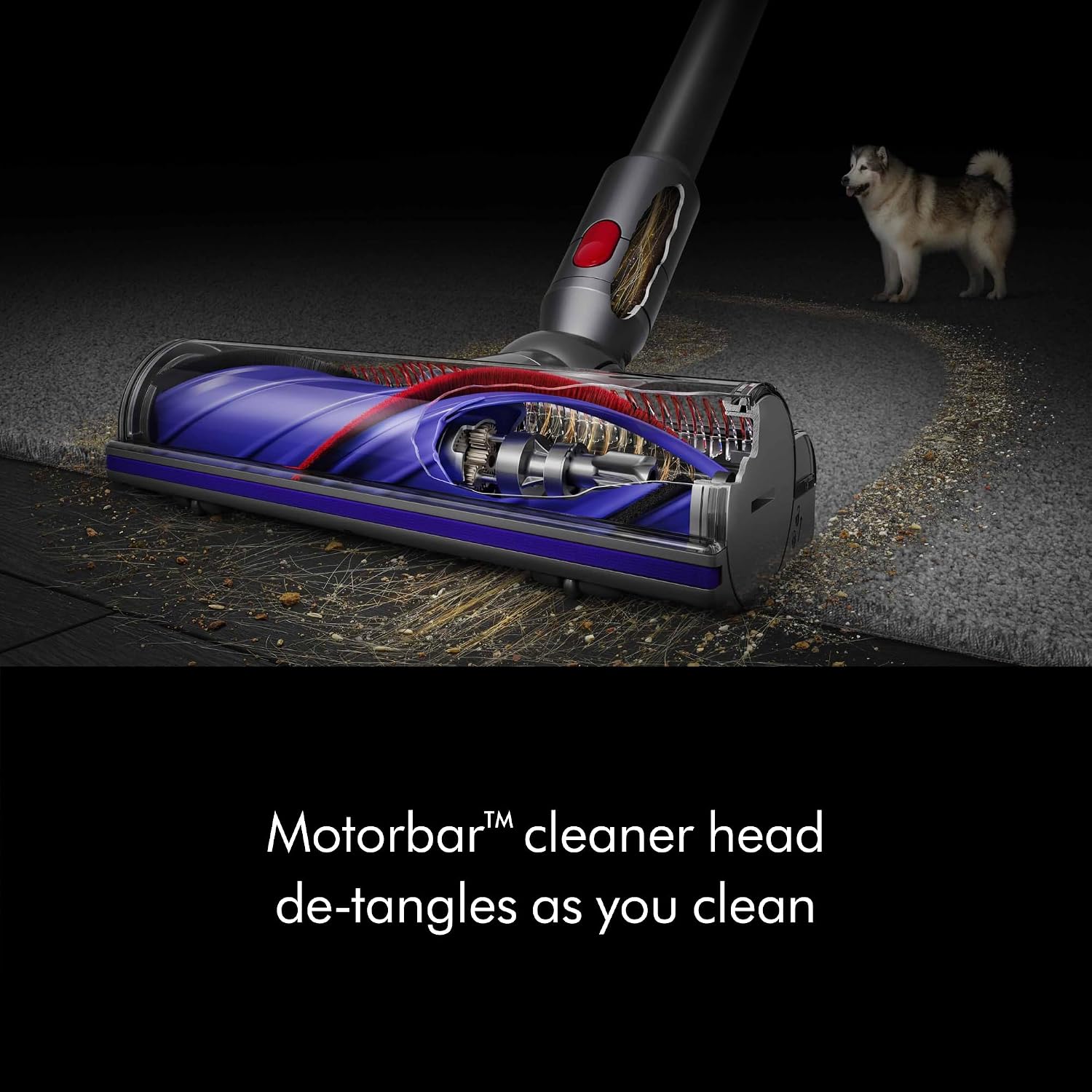 Dyson V8 Cordless Vacuum (Renewed Premium)