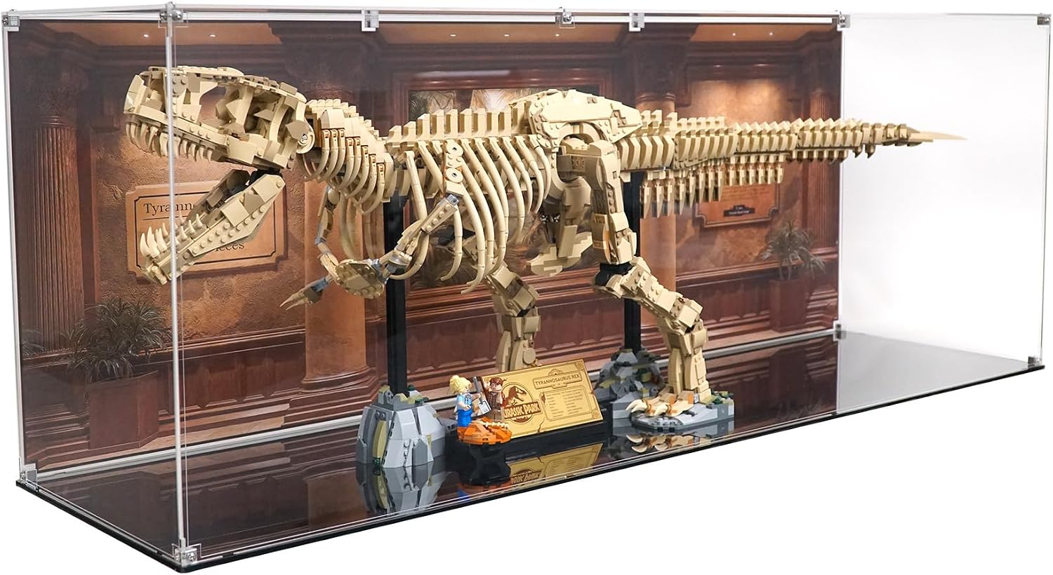 Display Case Compatible with LEGO 76968 Dinosaur Fossils Tyrannosaurus Rex – Fossil-Inspired Printed Background – Set Not Included