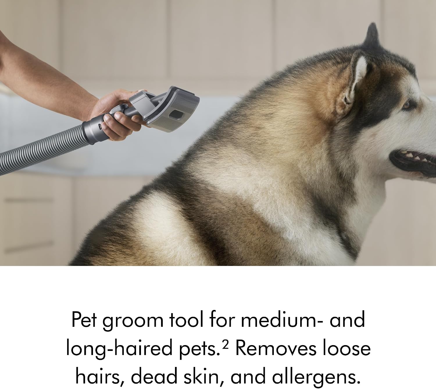 Dyson Ball Animal 3 Extra Upright Vacuum