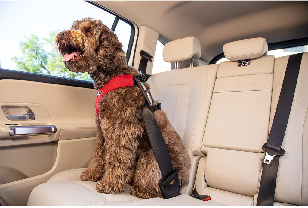Clickit Sport Plus - Crash-Tested and Safety Certified Car Seat Belt Harness for Dogs (Large, Charcoal Grey)