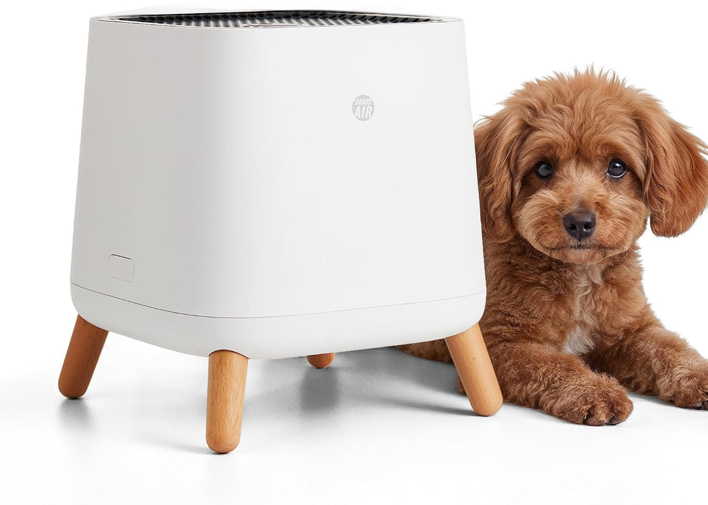 Smart Air(AKA Smart Health) Sqair Air Purifier|H13 HEPA 99.97%| Cleans up to 900 sq ft/30 mins, 23 - 52 dB| For Home, Bedroom, Office, Kitchen|Reduces Allergies, Smoke, Dust, Pet Odors