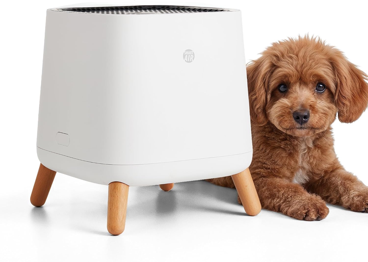 Smart Air(AKA Smart Health) Sqair Air Purifier|H13 HEPA 99.97%| Cleans up to 900 sq ft/30 mins, 23 - 52 dB| For Home, Bedroom, Office, Kitchen|Reduces Allergies, Smoke, Dust, Pet Odors