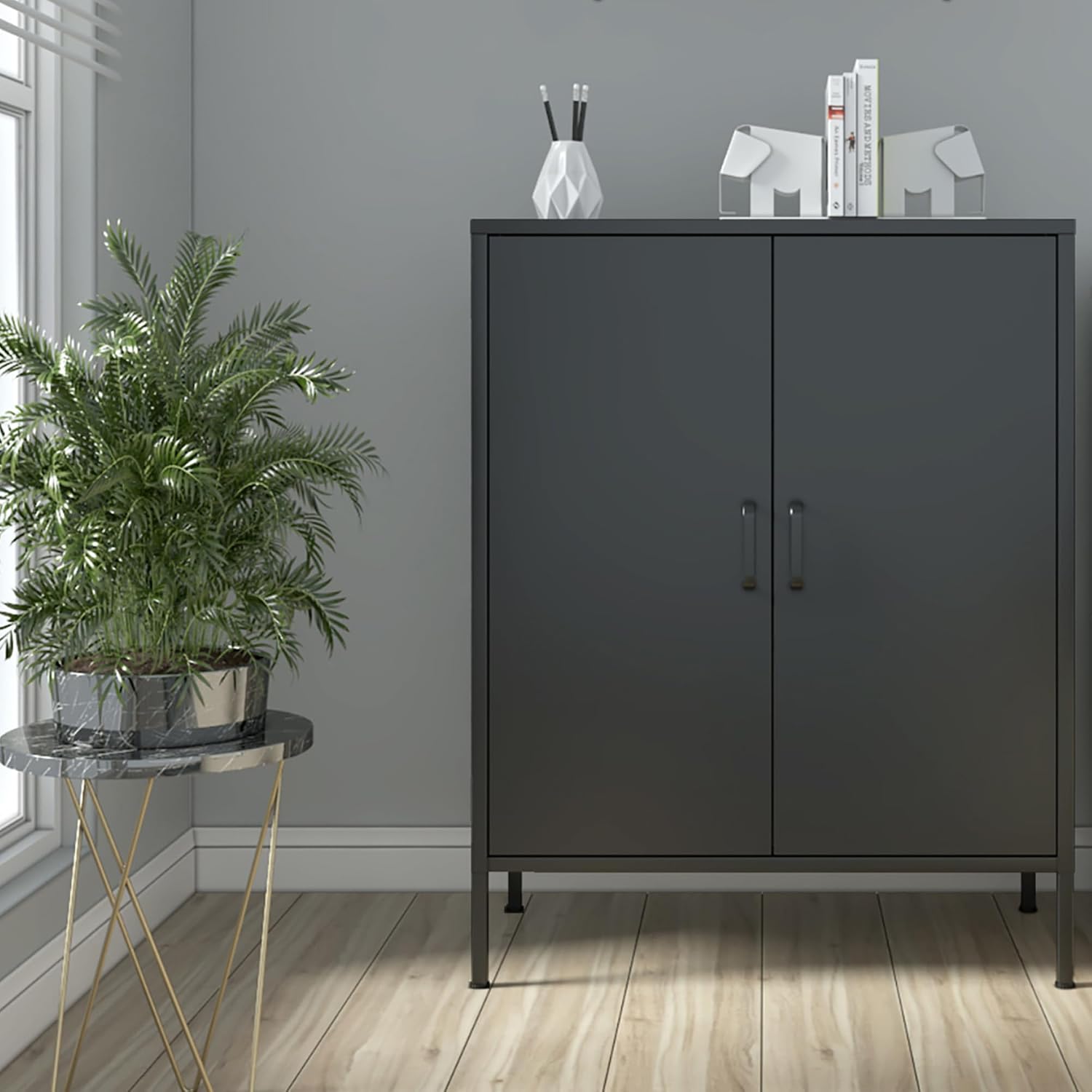 Chshin Black Metal Storage Cabinet,Metal Locker Storage Cabinet with 2 Doors and Shelves,Kitchen Pantry Cabinet,Modern Storage Freestanding Organizer Rust for Home,Kitchen,Office