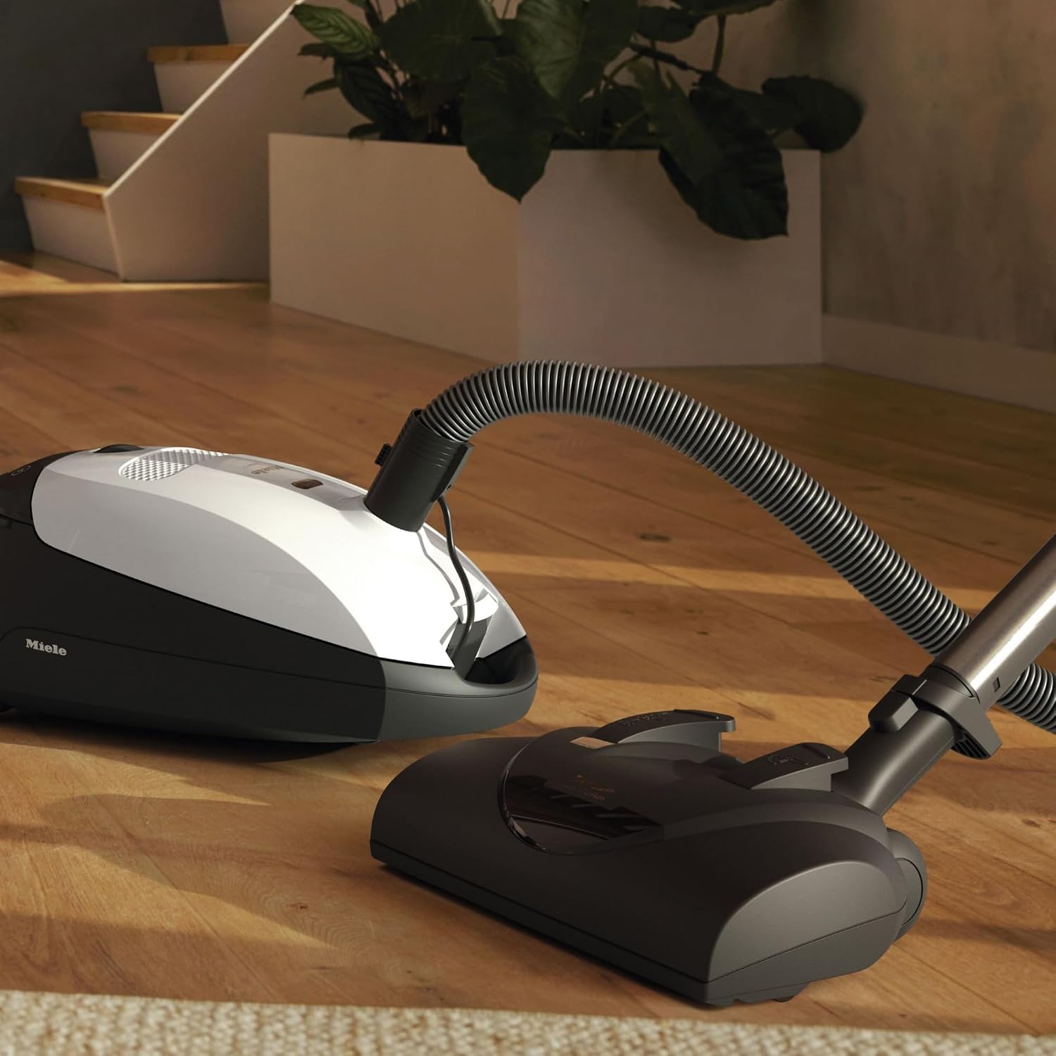 Miele Classic C1 Cat & Dog Bagged Canister Vacuum, Lotus White - Pet Hair, Portable