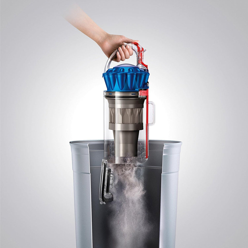 Dyson Ball Allergy Upright, Blue/Iron (Certified Refurbished)