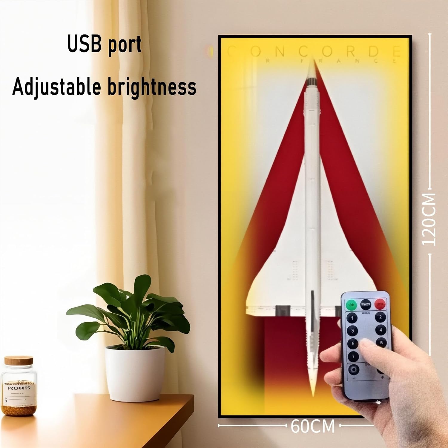 Acrylic Display Case for Lego 10318 Concorde, Display Wall Panels, Wall Mounted Photo Frames, backdrops, Compatible with 10318 (Model not Included)