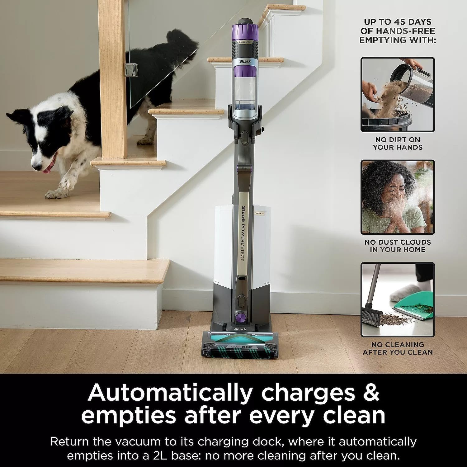 Shark Cordless Vacuum Cleaner with HEPA Filter, PowerDetect Clean & Empty, Powerful Suction, Auto-Empty System, Pet Hair Pickup, Carpets & Hardfloor, Purple/Gold (Renewed)
