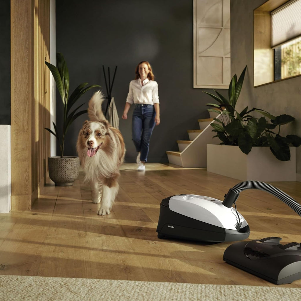 Miele Classic C1 Cat & Dog Bagged Canister Vacuum, Lotus White - Pet Hair, Portable