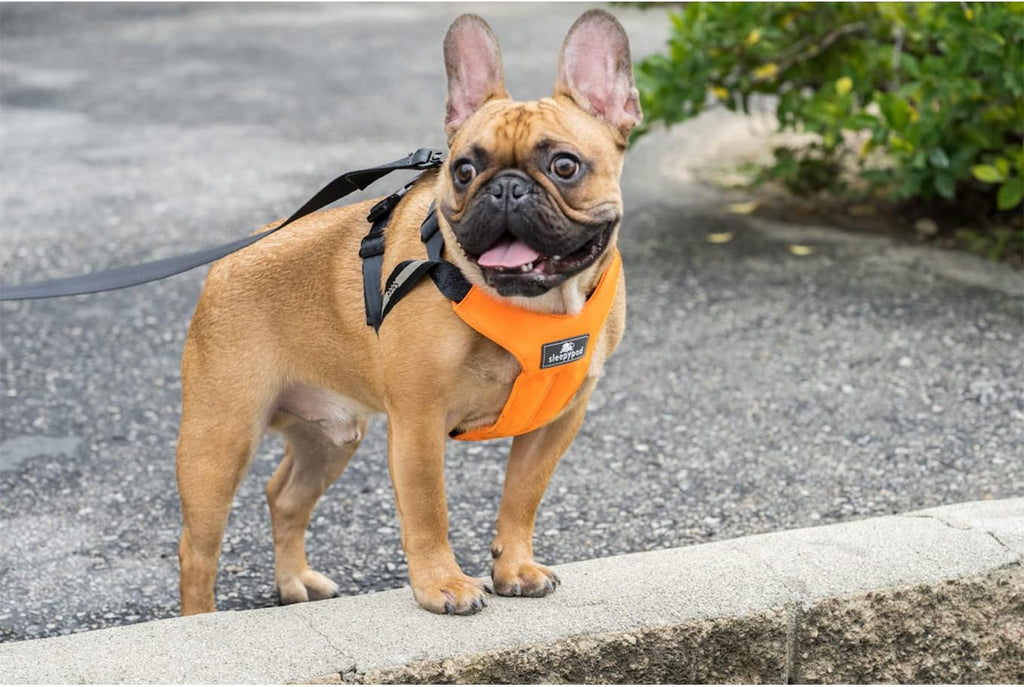 Clickit Sport Plus - Crash-Tested and Safety Certified Car Seat Belt Harness for Dogs (Large, First Blush)
