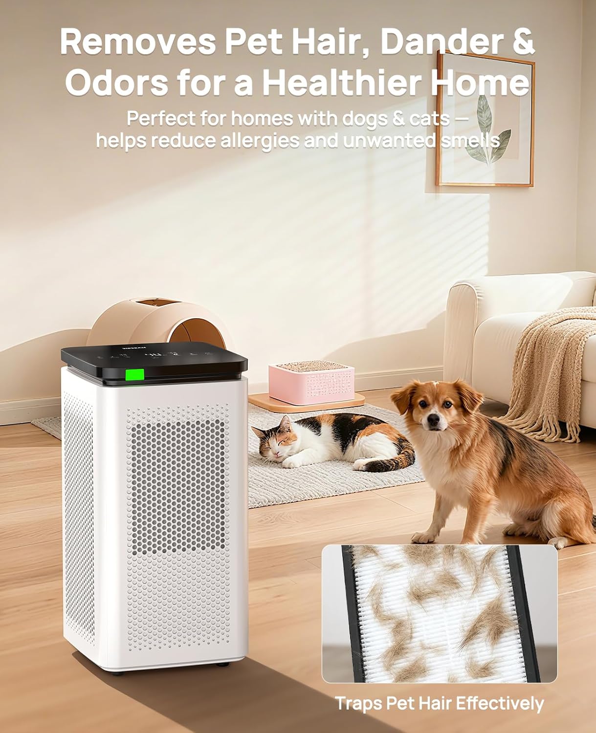 Air Purifiers for Home Large Rooms up to 3500 Ft², H13 True HEPA 0.1 Micron 99.97% Filtration with Carbon Filter, 235 CFM CADR, for Pollen, Pet Odor, Smoke, VOCs, 30dB Sleep Mode, PM2.5 Display