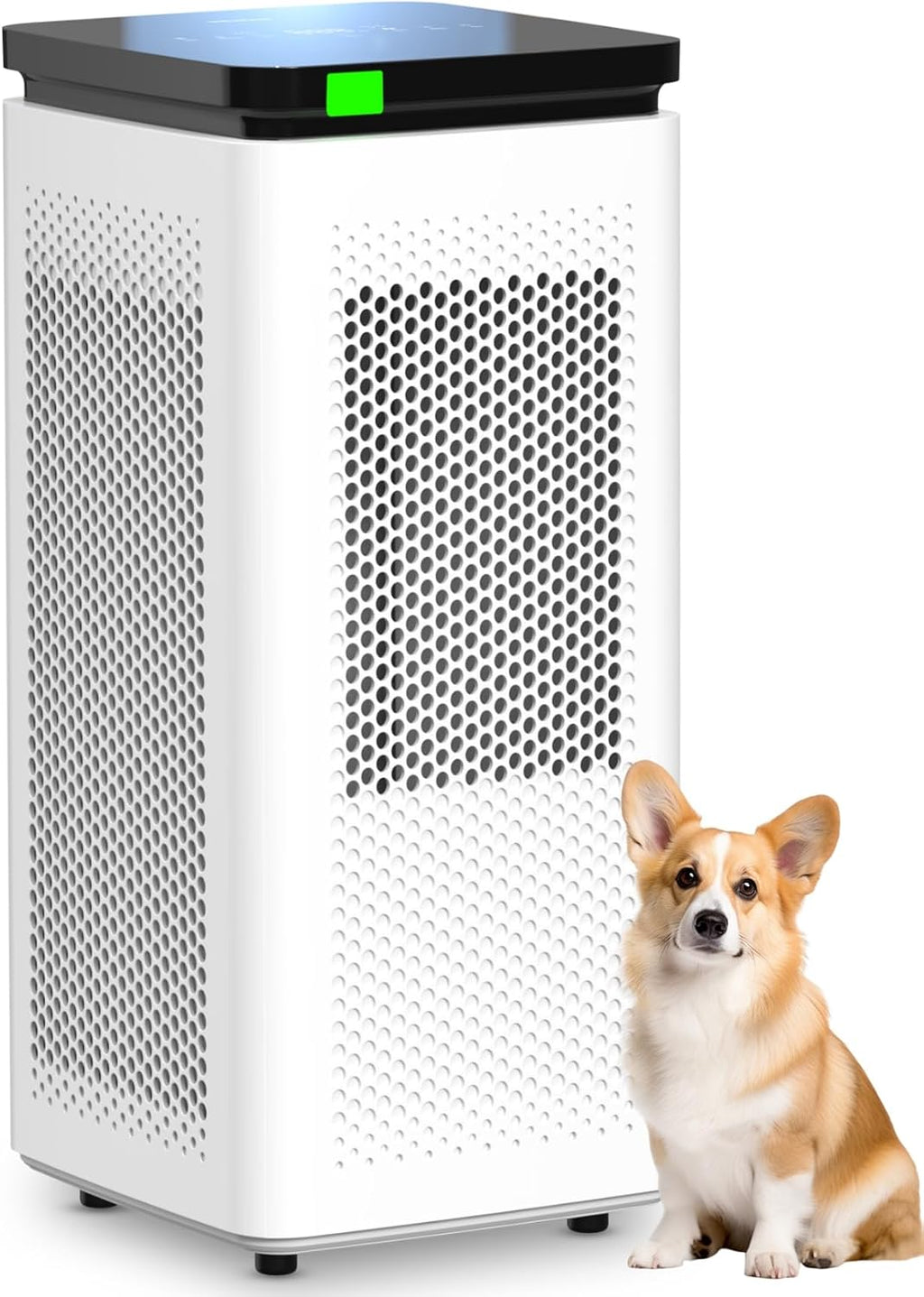 Air Purifiers for Home Large Rooms up to 3500 Ft², H13 True HEPA 0.1 Micron 99.97% Filtration with Carbon Filter, 235 CFM CADR, for Pollen, Pet Odor, Smoke, VOCs, 30dB Sleep Mode, PM2.5 Display