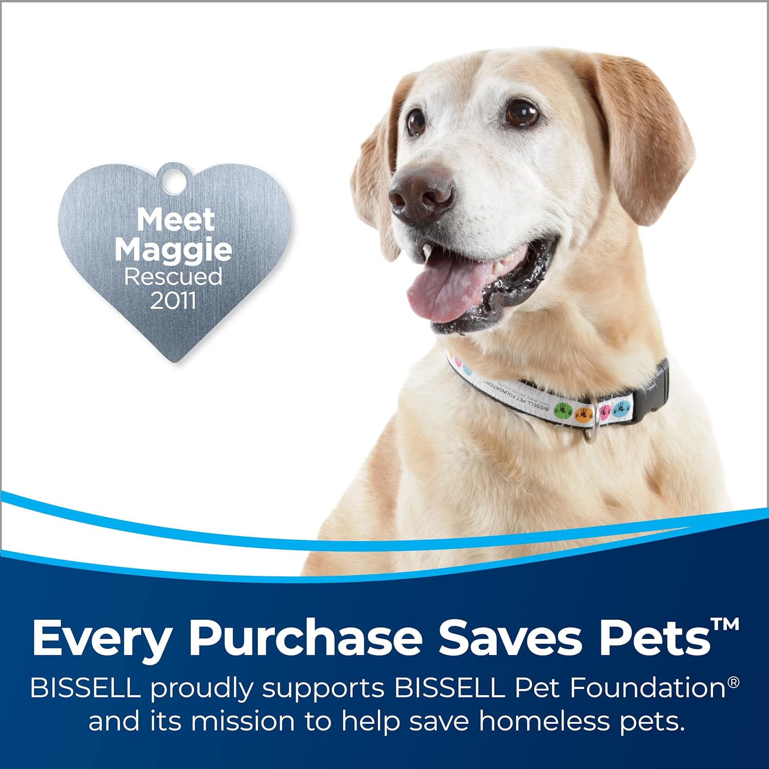 Bissell CleanView Rewind Pet Bagless Vacuum with Automatic Cord Rewind, Active Extension Wand for Hard-to-Reach Areas, Powerful Suction & Multi-Surface Cleaning, 3534