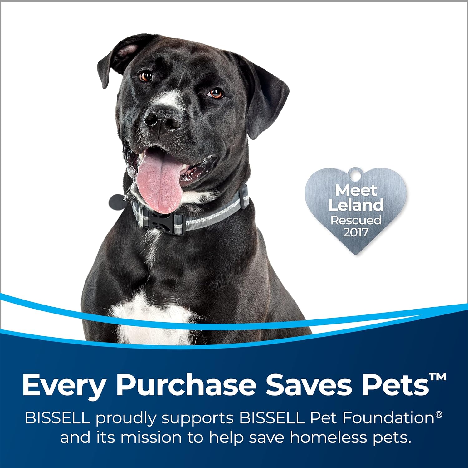 Bissell MultiClean Allergen Lift-Off Pet Vacuum with HEPA Sealed System, Detachable Canister for Stairs & Upholstery, LED Headlights, Tangle-Free Brush Roll, 2998