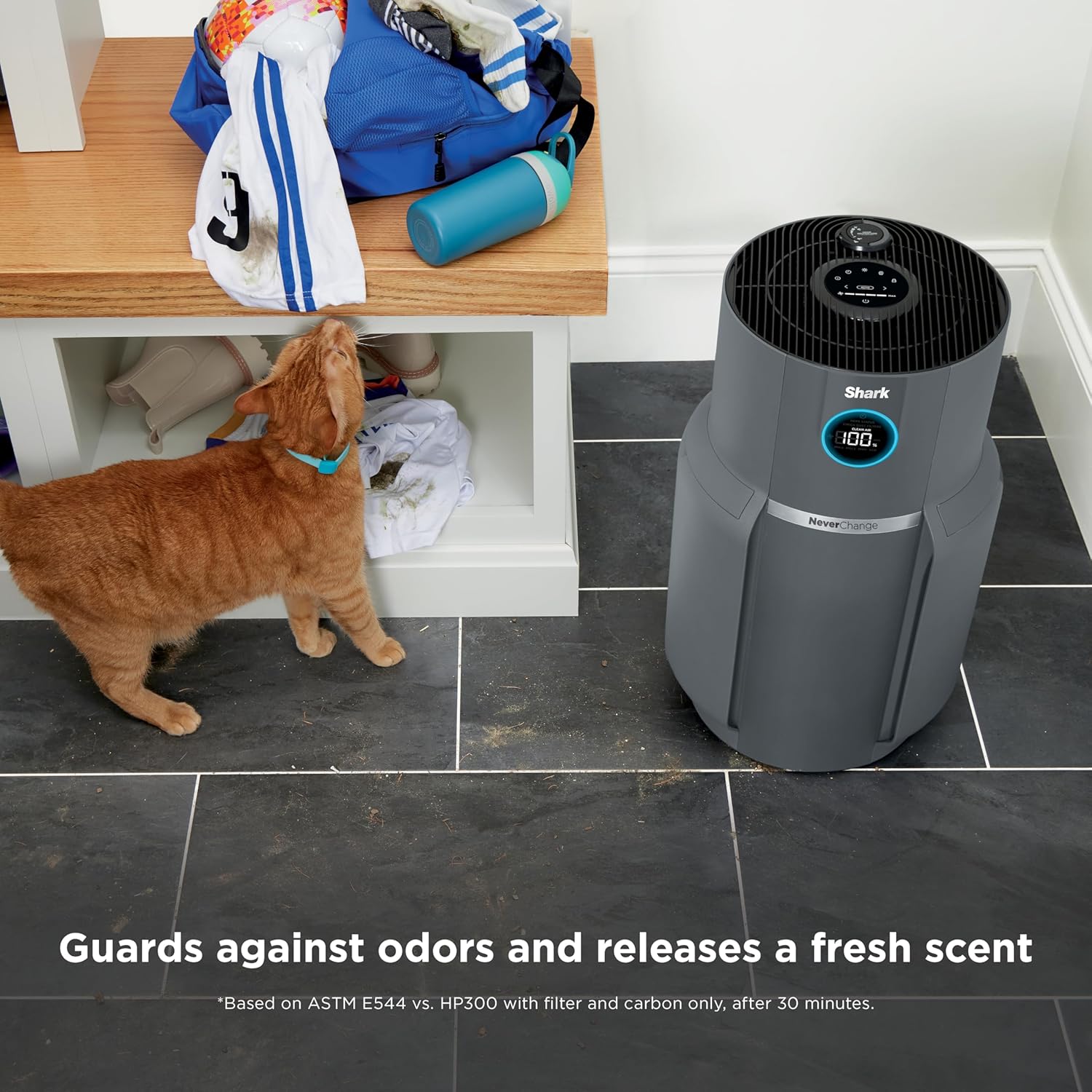 Shark Air Purifier for Home, NeverChange Max, 1,300 sq. ft. for Large Room, Kitchen, Home Office, HEPA-Exceeding Filter, Captures Pollutants, Pet Dander, Dust, Odor, Smoke, and More, HP301, Grey