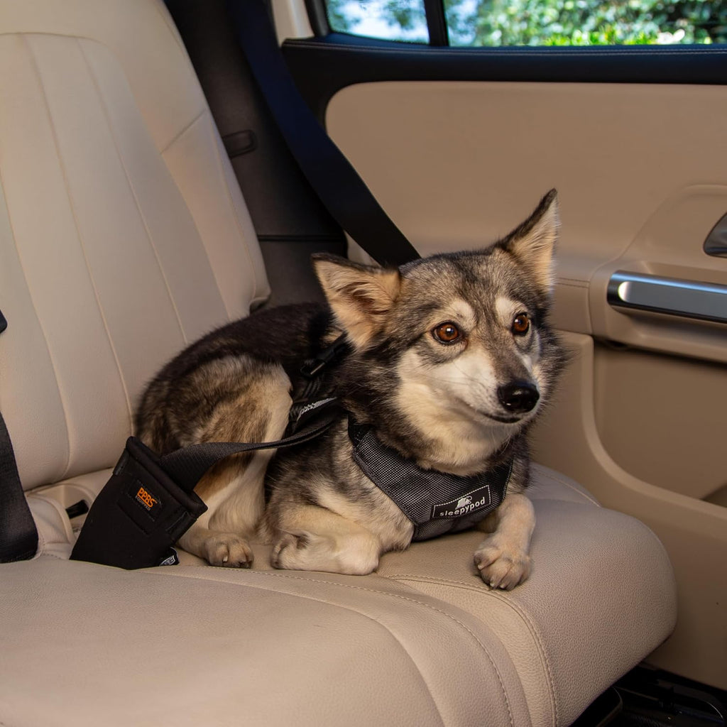 Clickit Sport Plus - Crash-Tested and Safety Certified Car Seat Belt Harness for Dogs (Large, Charcoal Grey)