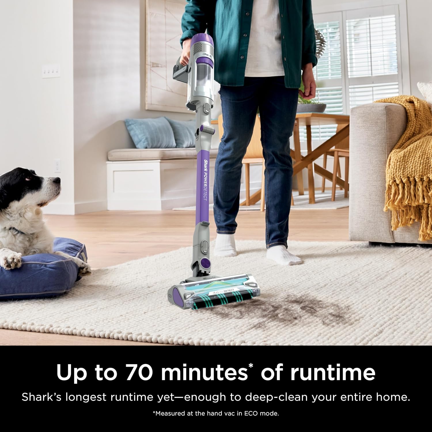 Shark IP1251 PowerDetect Cordless Stick Vacuum, HEPA Filtration, 70-Minute Runtime, Carpet & Hard Floor, Portable, XL Dust Cup, Perfect for Pet Hair (Renewed)