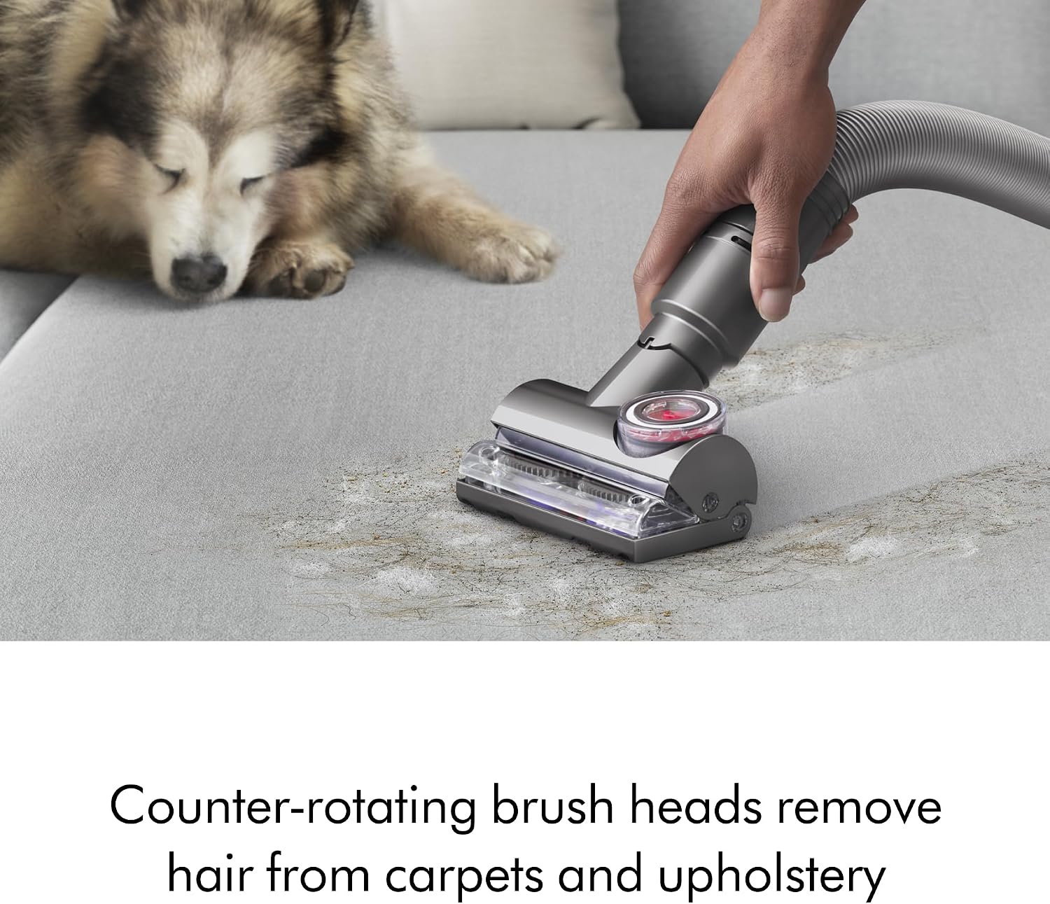 Dyson Ball Animal Total Clean Upright Vacuum