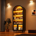 Wildhome Wooden Arched Display Storage Cabinet with Glass Door, LED Lights,Showcase for Collections, Perfume, Vinyl Albums, Bookcase for Home Office, Living Room, Clinic, Pantry (Black-Arched top)