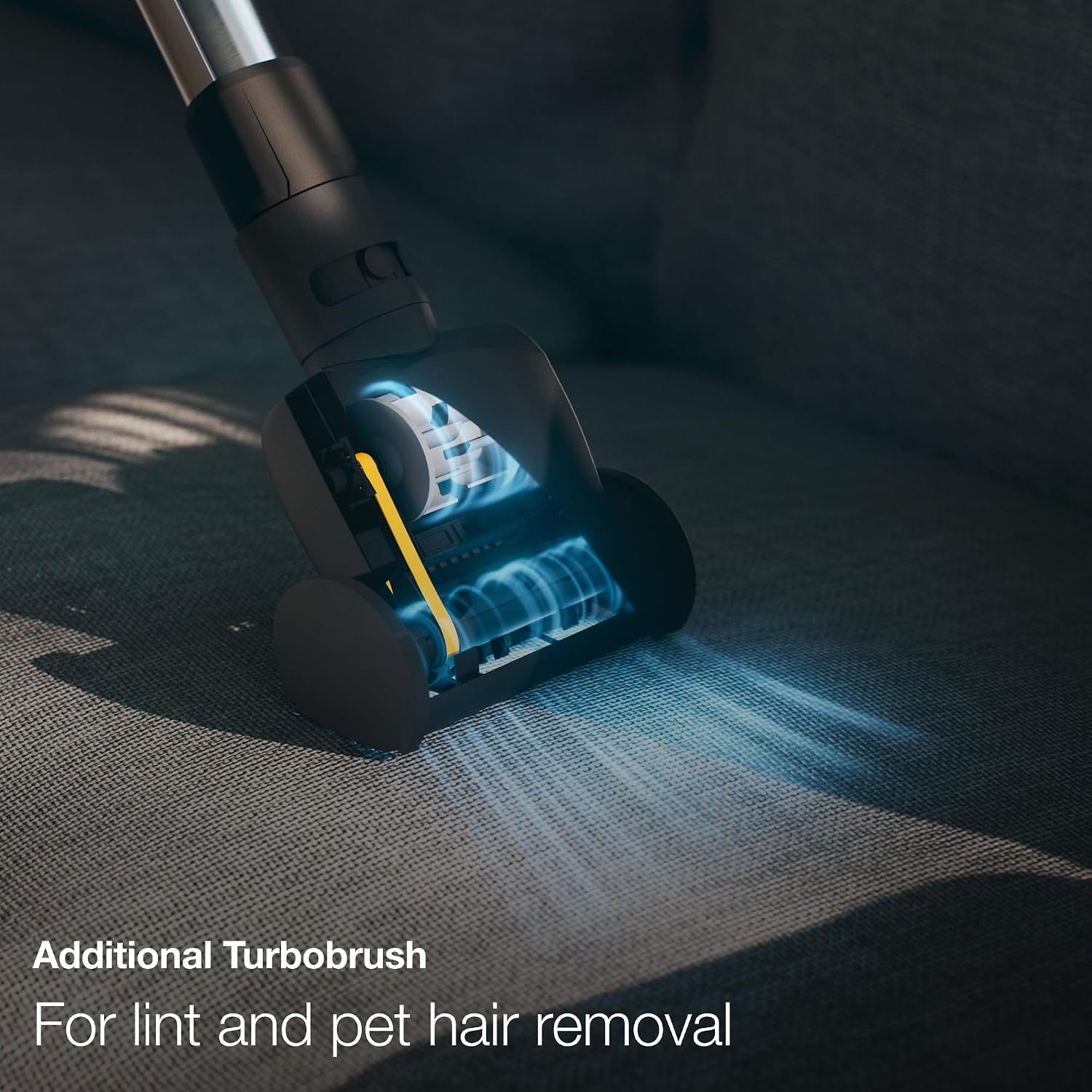Miele Classic C1 Cat & Dog Bagged Canister Vacuum, Lotus White - Pet Hair, Portable