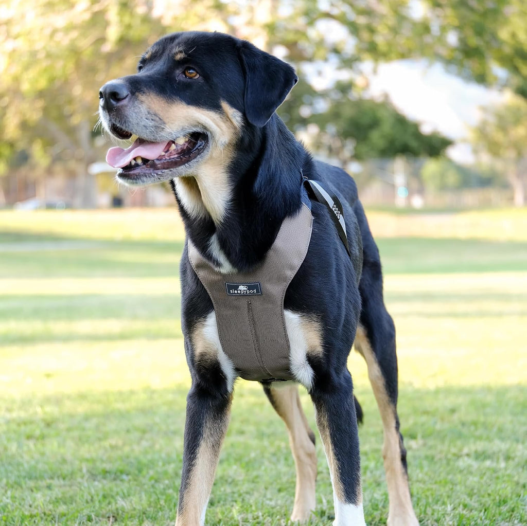 Clickit Sport Plus - Crash-Tested and Safety Certified Car Seat Belt Harness for Dogs (Large, Olive Green)