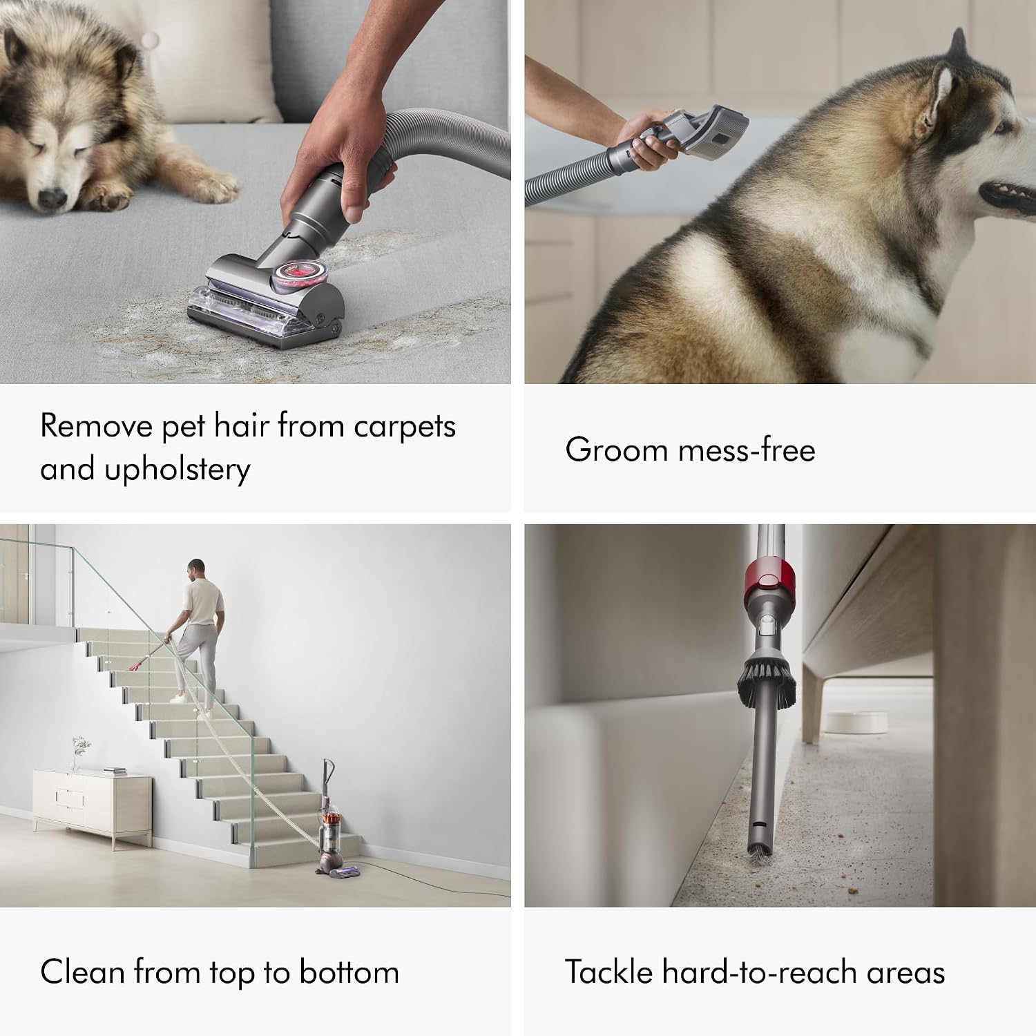 Dyson Ball Animal 3 Extra Upright Vacuum